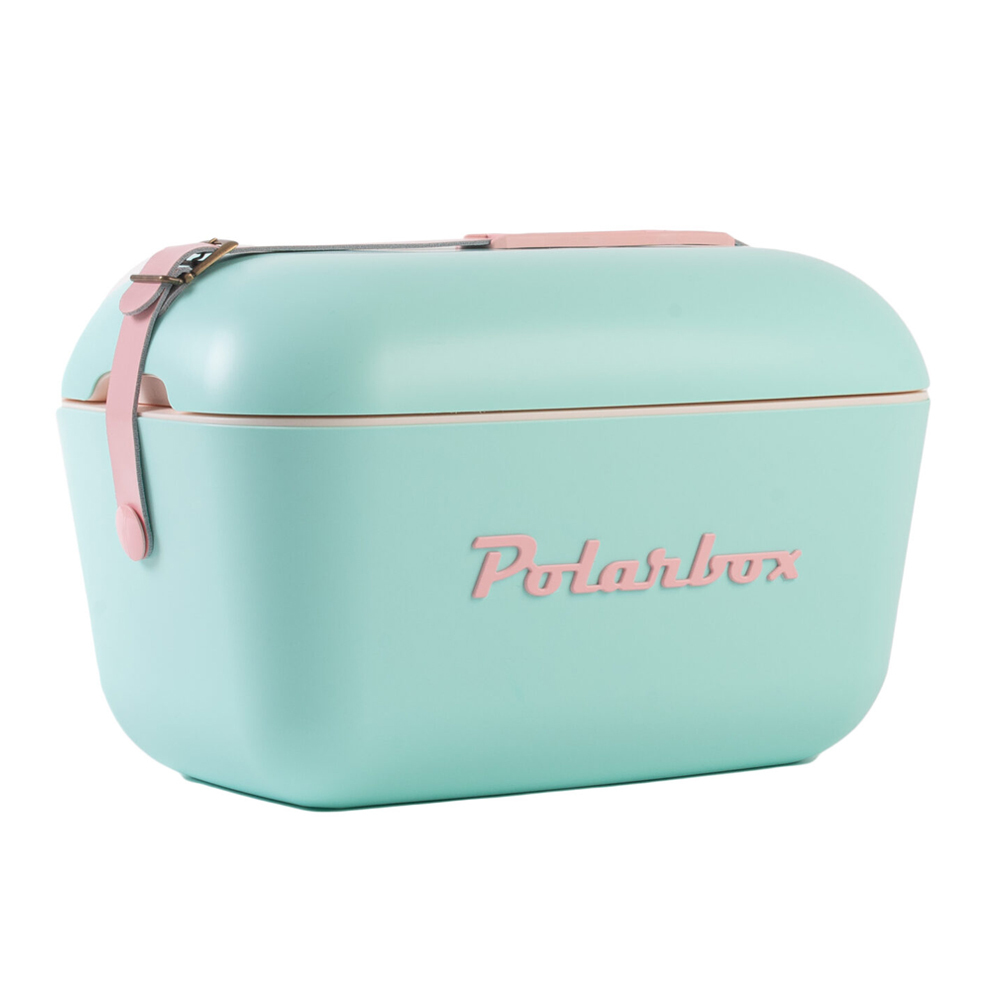 fonds patroon Ounce Trendy en lichtgewicht 20 liter koelbox in mooie groene kleur met roze band